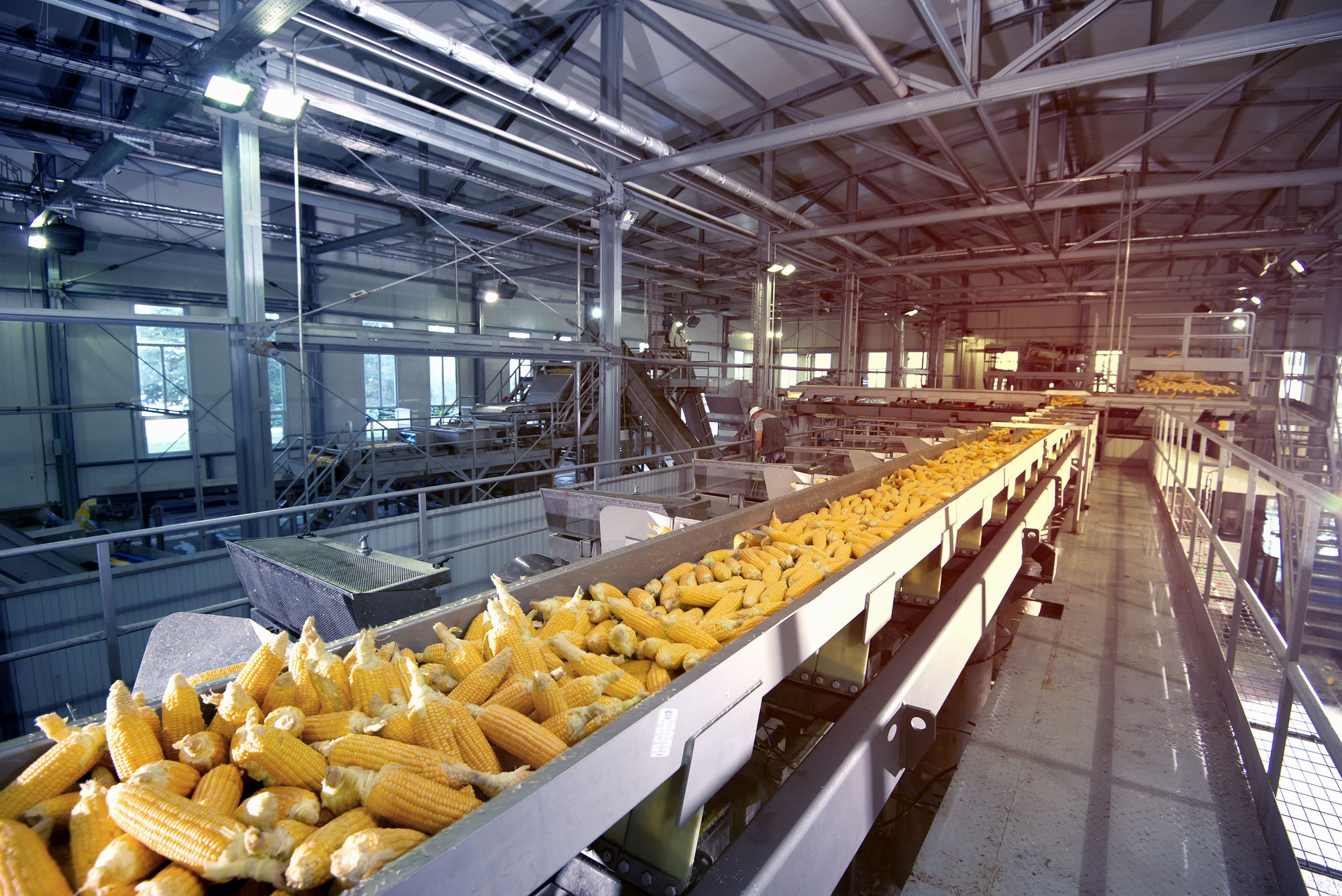 From Field To Market: Essential Equipment For Agricultural Processing Startups